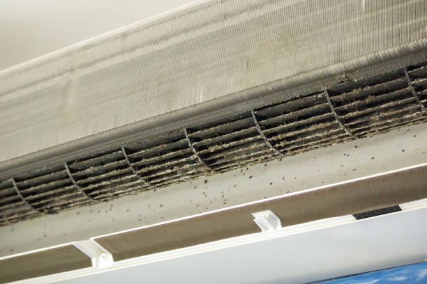 Best Affordable HVAC Duct Cleaning  in Buttonwillow, CA